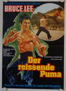 The Image of Bruce Lee (Bruce Lee - Der reissende Puma)